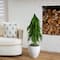 3ft. Unlit Down Swept Real Touch Norfolk Pine Artificial Christmas Tree in Nursery Pot